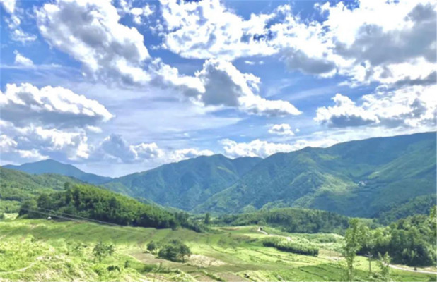 天晴了，龙门秘境最美向日葵花海不容错过