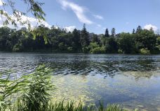 海柏公园-多伦多-小小呆60