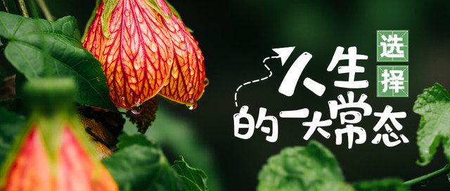 冬日观音峡第一份温暖,解决出游非A即B的难题!
