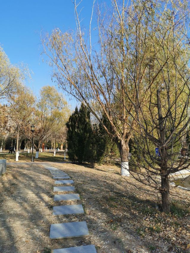 西局玉璞园旅行图片 8