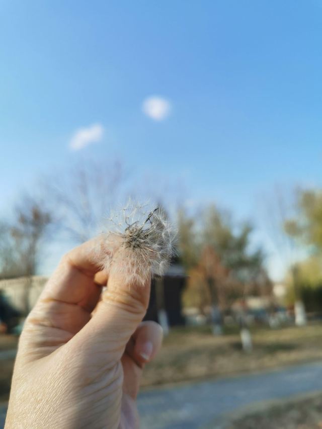 西局玉璞园旅行图片 3