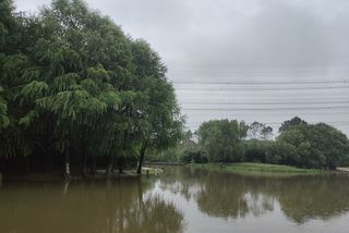 周浦公园，微雨中的清冷——上海3日（4）