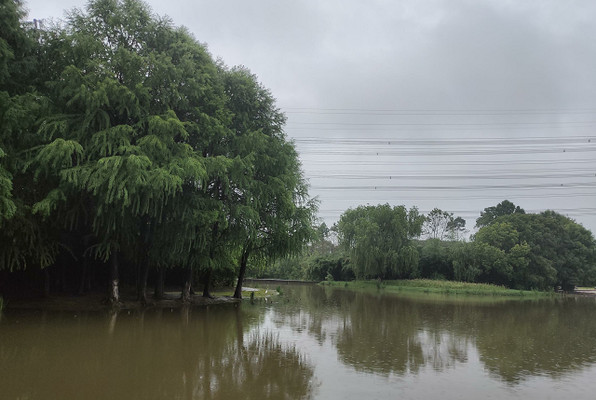 周浦公园,微雨中的清冷——上海3日(4)