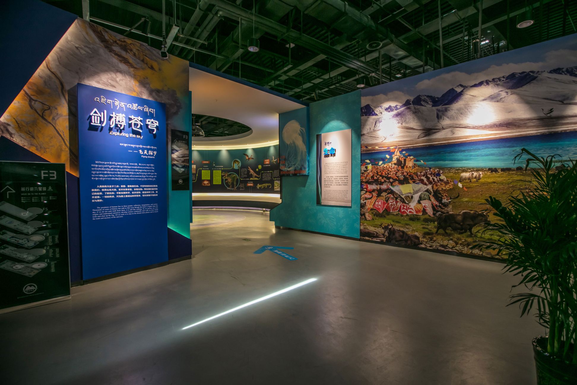 Gallery 1