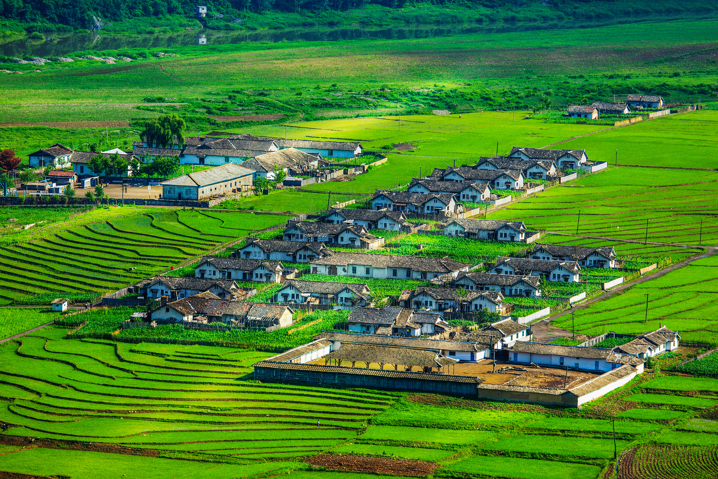 1-Day Dabu Tour: Baihou Town's ancient charm, Pingshan Terraced Fields' pastoral beauty