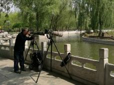 莲花池公园-北京-老少皆宜程