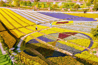 打卡上海寻梦源梦水乡