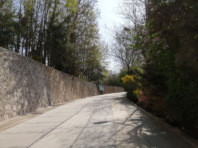 五一山省级森林生态旅游区旅行图片 1