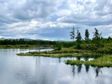 杜鹃湖-阿尔山-走遍天下XZ