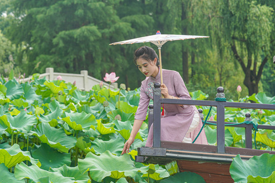 太湖佳绝处,鼋头渚夏日赏荷记