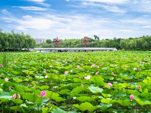 友谊公园