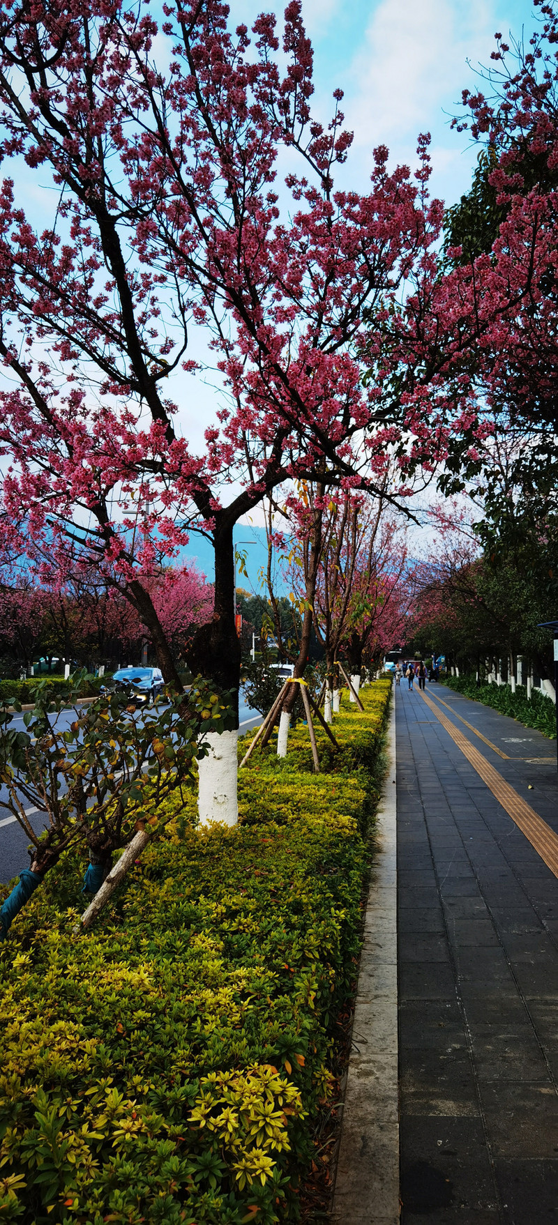昆明旅游网