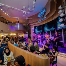 Hard Rock Cafe Sentosa-新加坡-翱翔的大鲨鱼