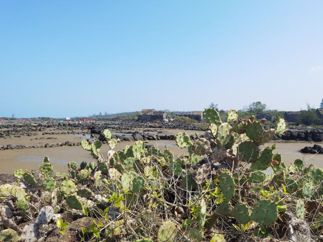 峨蔓镇火山海岸省级地质公园旅行图片 1