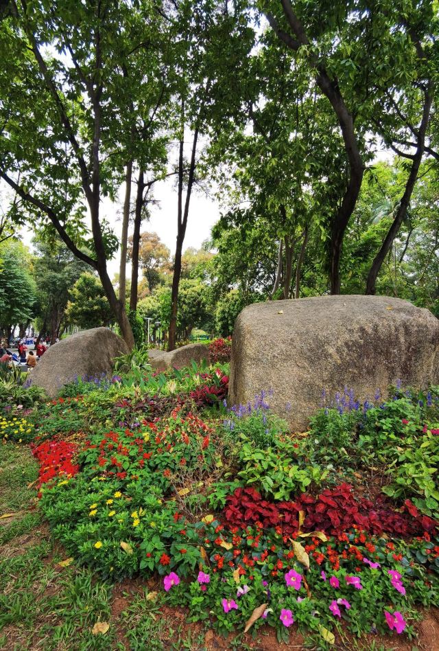 中山公园旅行图片 1