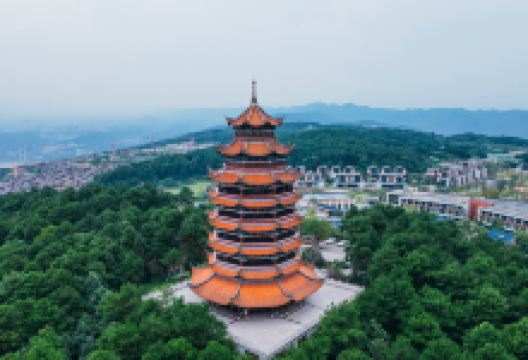 铁山坪森林公园景点图片