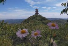 方山森林公园景点图片