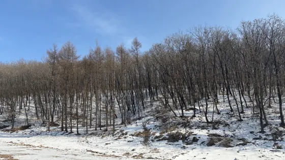 雞冠山風景區