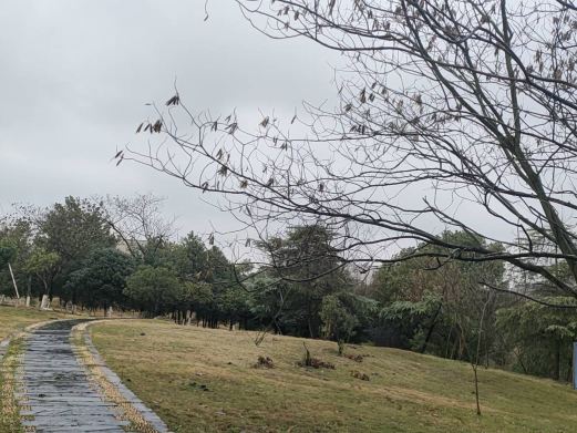 梨山公园