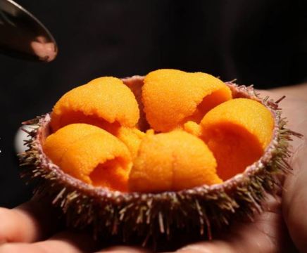 常鲜楼常来尝鲜海胆馆