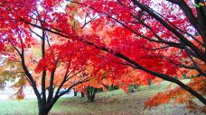 罗杰·威廉姆斯公园-普罗维登斯