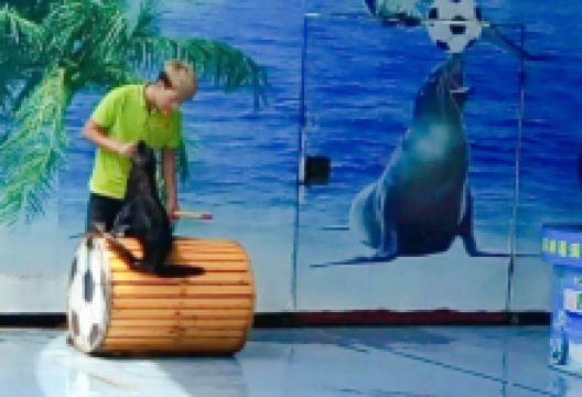 寸金动物园景点图片