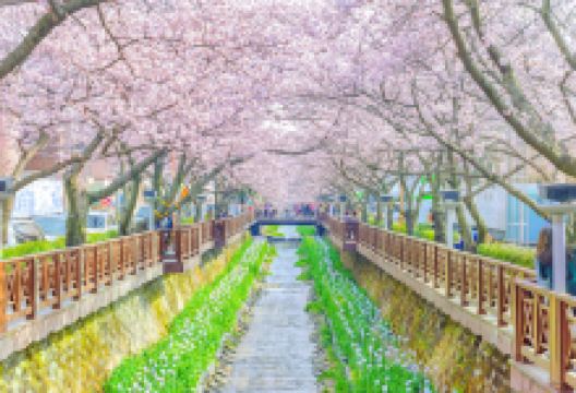 余佐川景点图片