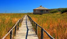 贡格尔草原-克什克腾旗