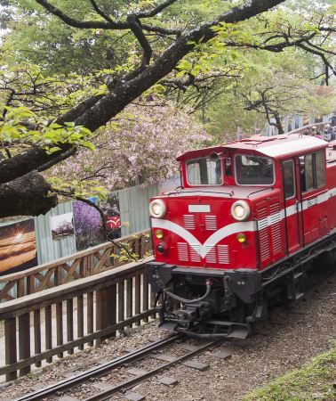 8D7N • Taipei + Taichung + Sun Moon Lake + Alishan National Scenic Area + Kaohsiung
