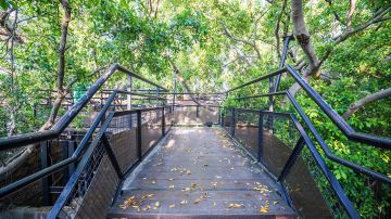 Anping Tree House