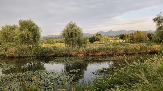 雁鴨湖