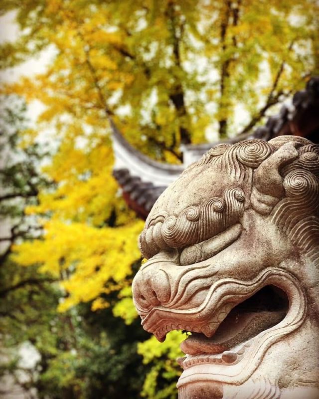 龙华塔旅行图片 12