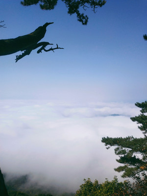 桓仁之旅