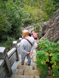 桃花涧-连云港-白脆脆