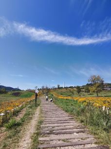 陕甘边照金革命根据地旧址-铜川-就大概