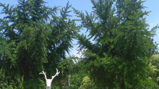 人民公園