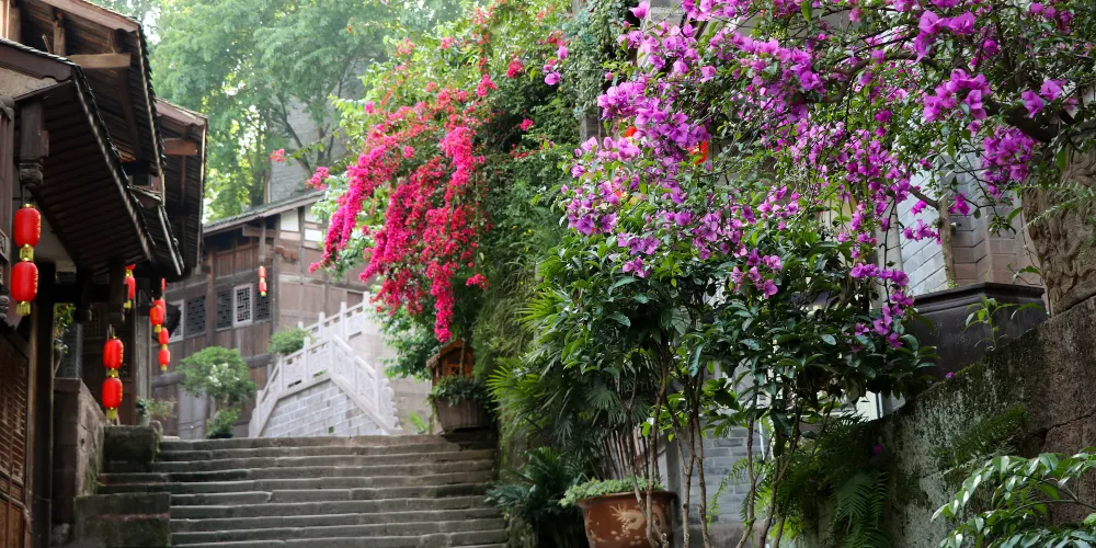 永安旅遊