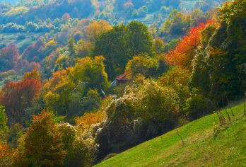 汉中龙头山包车一日游【时间自由，上门接送，纯玩无购物】【舒适安心游 专业司机靠谱保障】