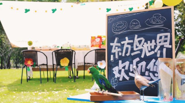 顾村公园东方鸟世界