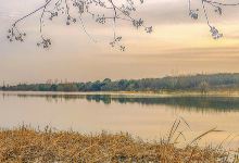 汤湖公园景点图片