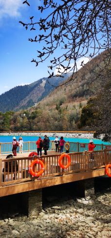 巴松措-工布江达-逍遥糊涂仙1971