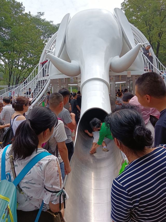 兴庆宫公园旅行图片 4