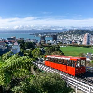 Wellington