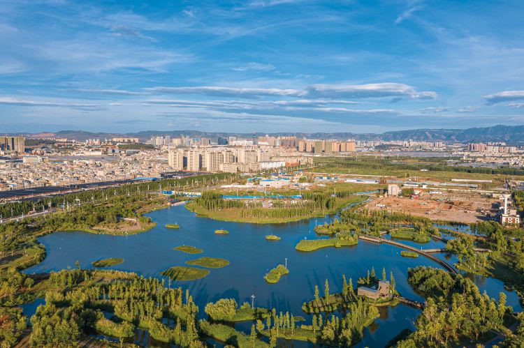 斗南湿地公园