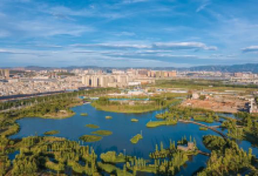 斗南湿地公园景点图片