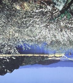 从化温泉风景区游记图文-12月广州从化南山云溪赏梅