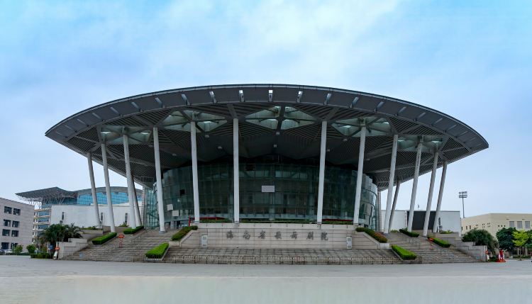Gallery 3