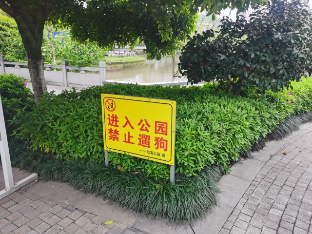 陆羽公园旅行图片 4