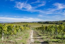 弗拉斯卡蒂景点图片