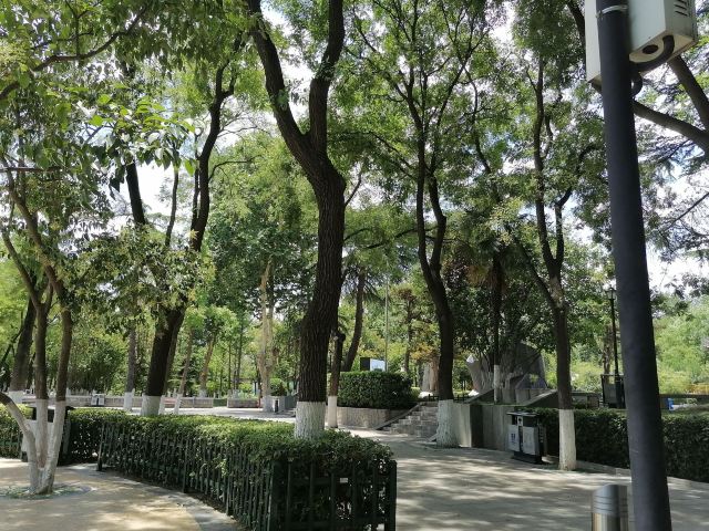 莲湖公园旅行图片 4